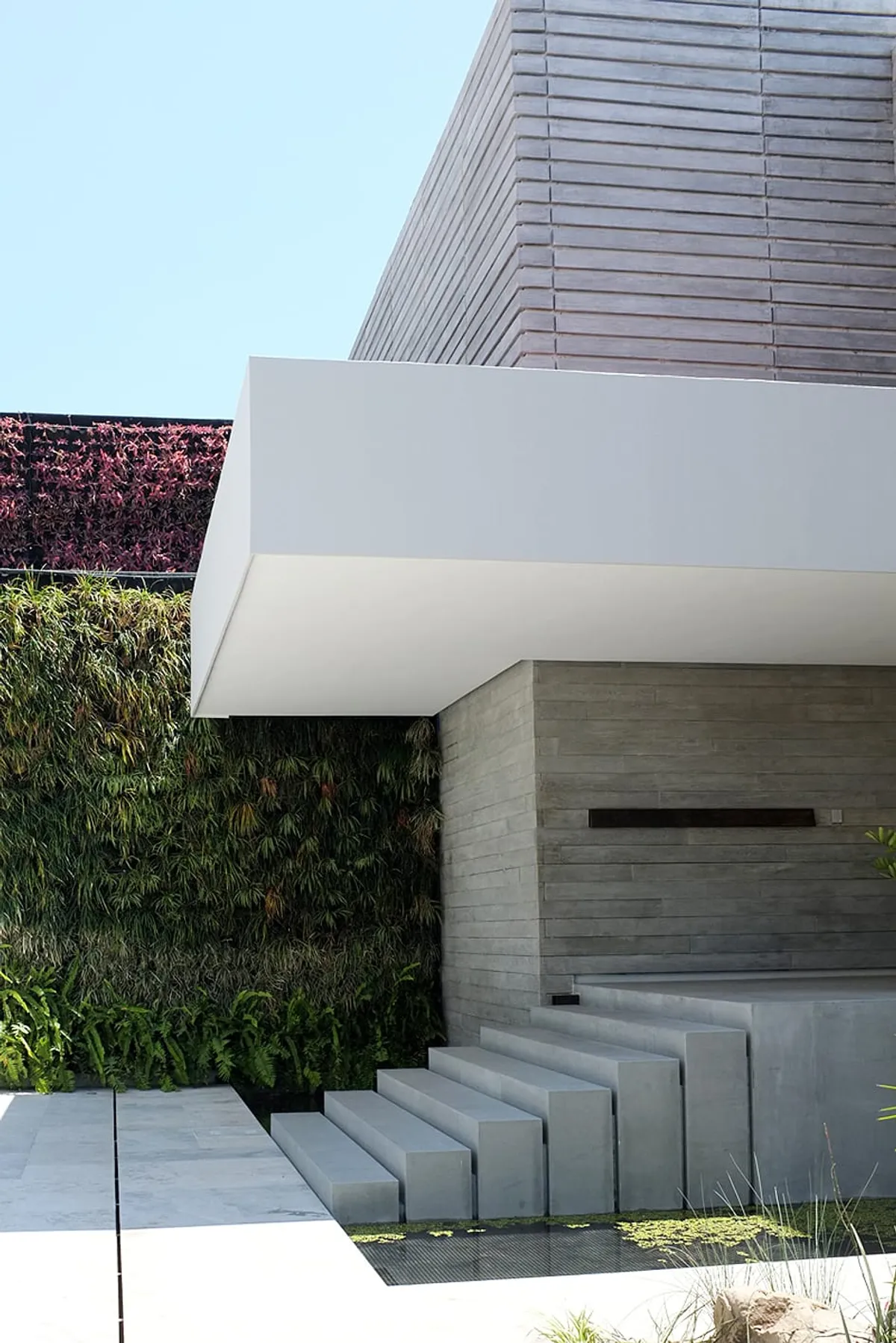 Casa Vallarta — imagen 9