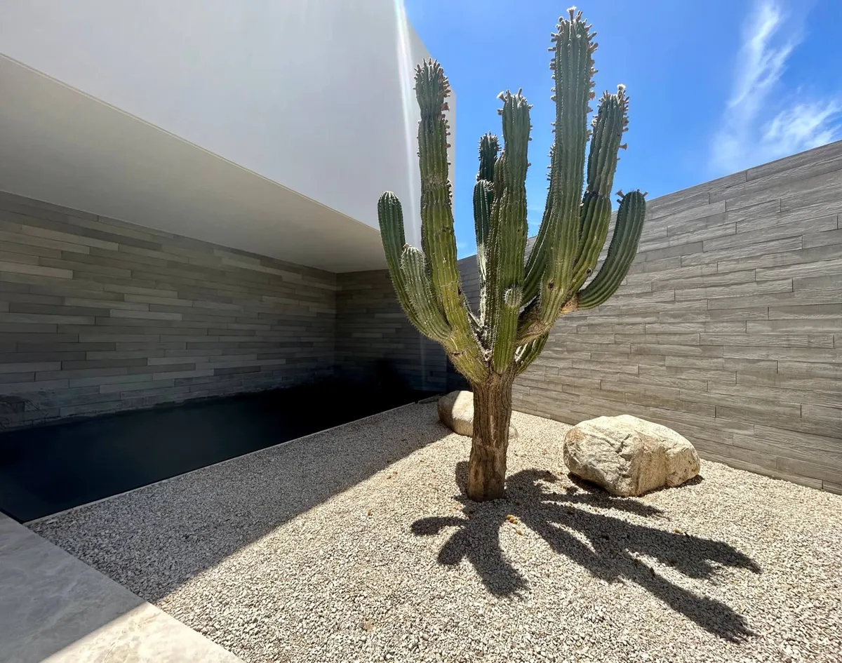 Duela de Concreto Los Cabos — imagen 2