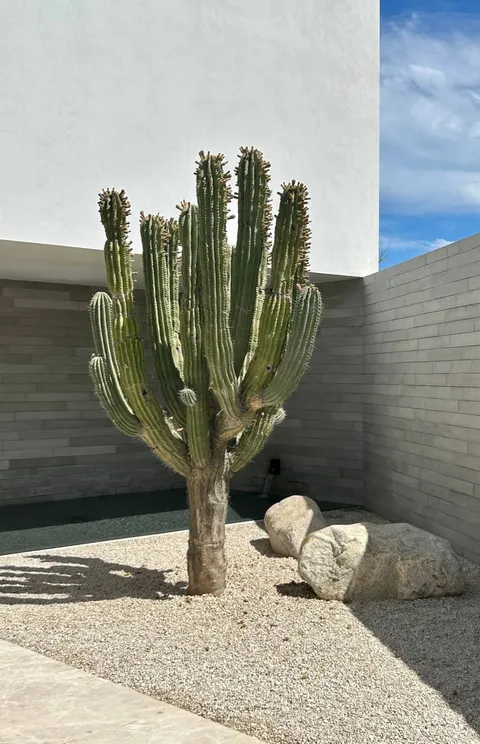 Duela de Concreto Los Cabos — imagen 6