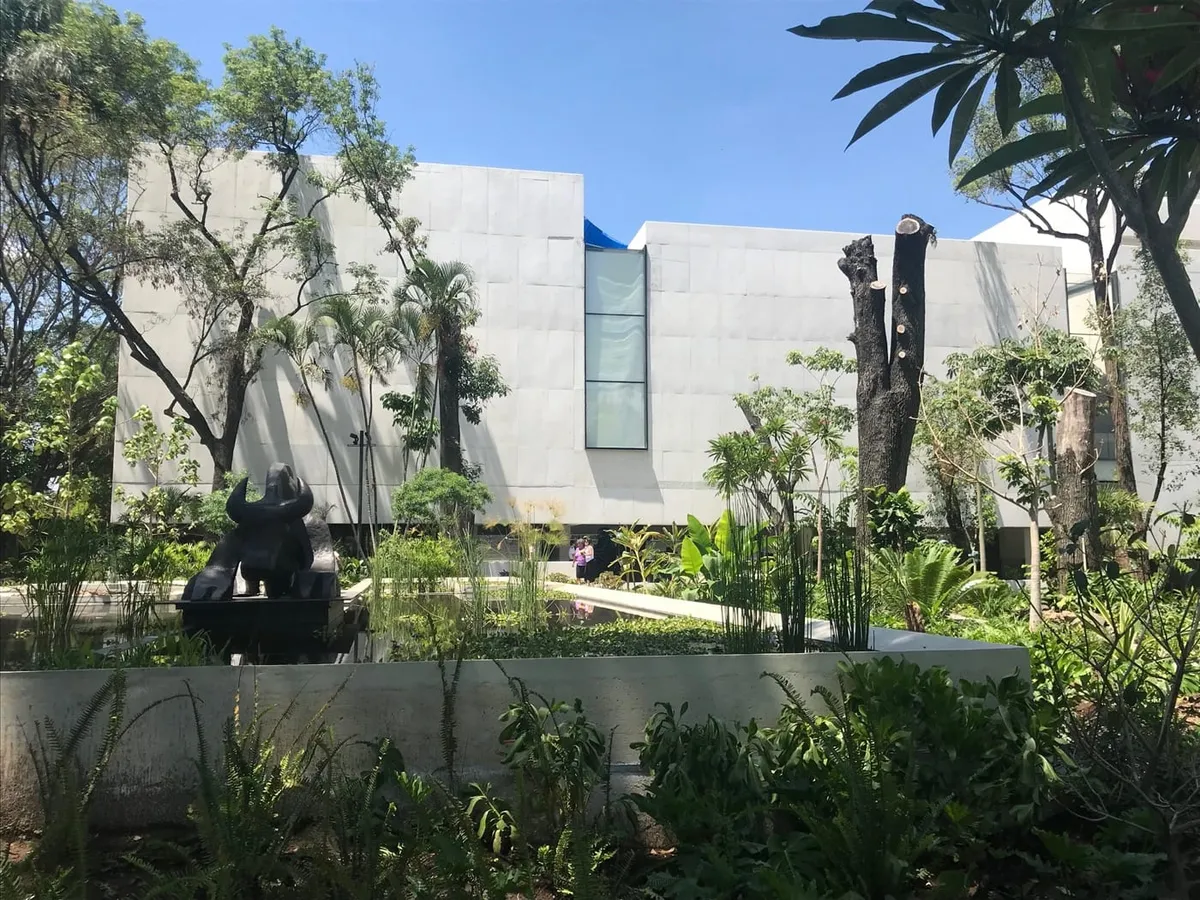 MMAC Juan Soriano — imagen 3