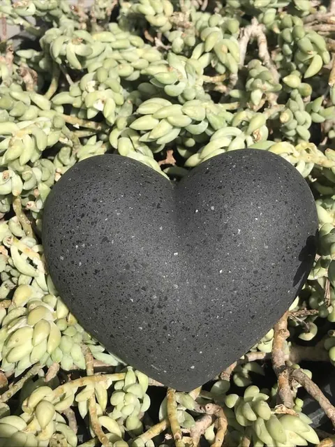 Corazón — imagen 4