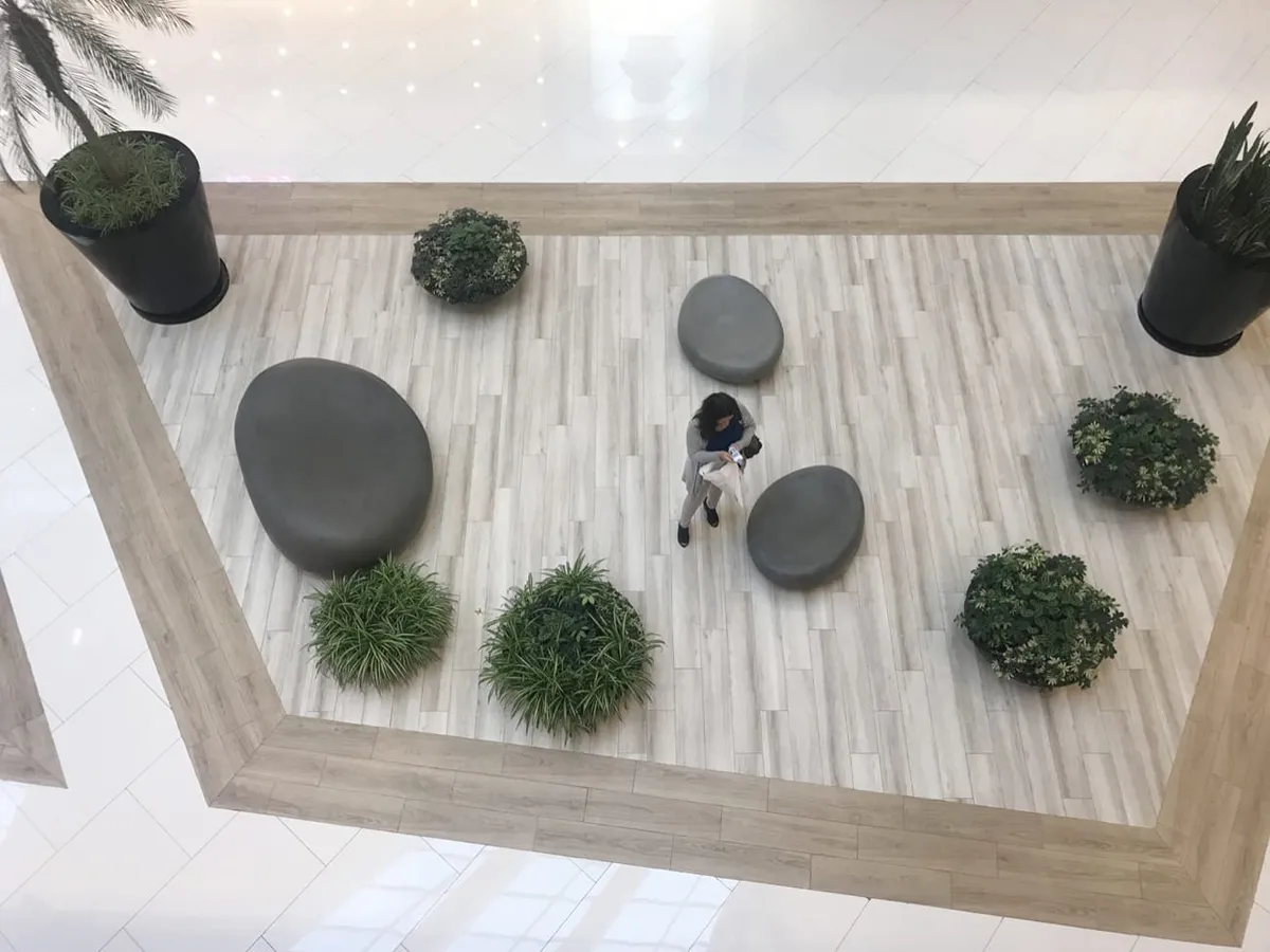 Stone — imagen 2